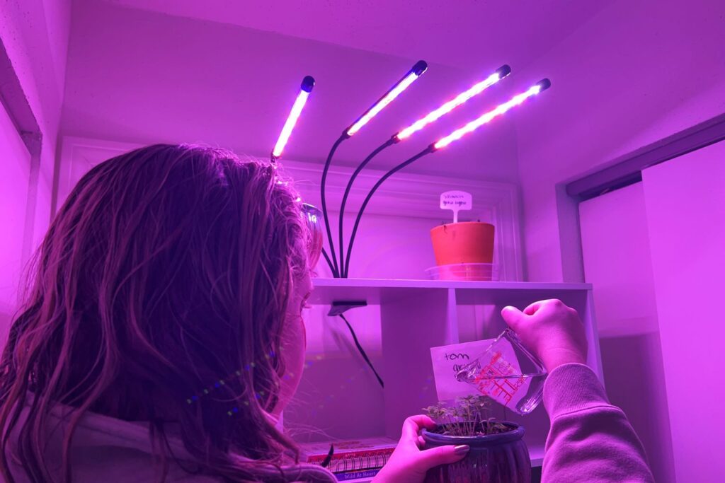 Led Lights