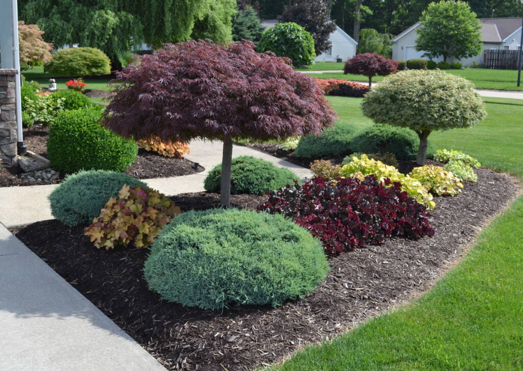 Sacramento Landscaping