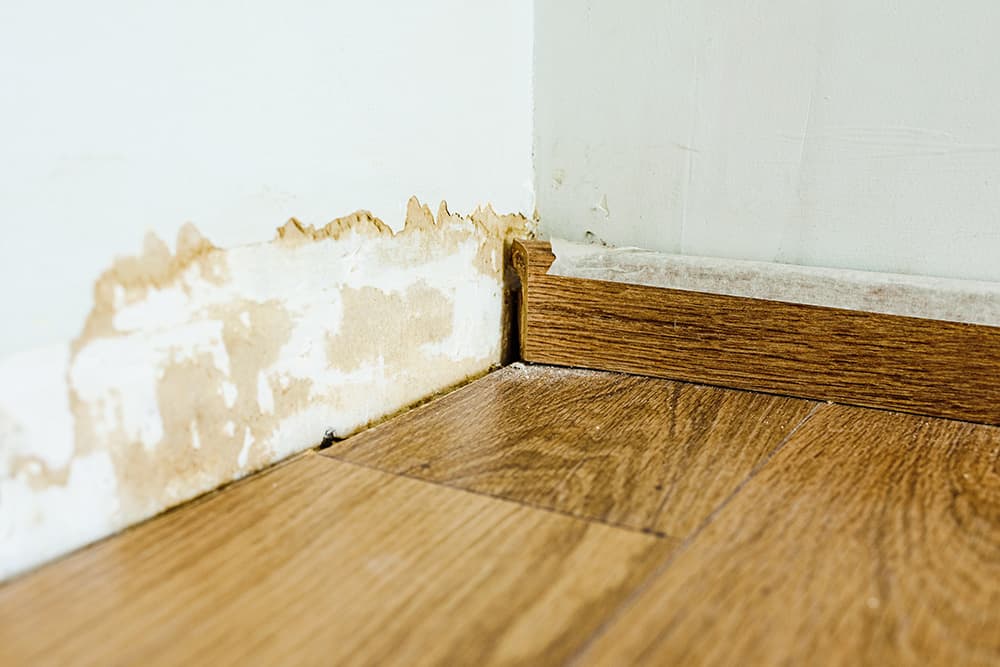 Water Damage San Tan Valley
