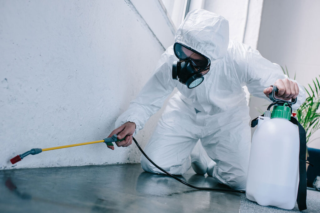https://cedarhillpestcontrol.com/